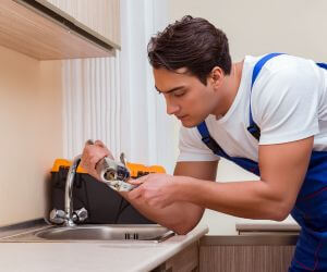 About Plumbers Pros Merritt, MI